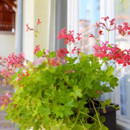 Апартаменты Zsuzsanna Apartmanhaz *